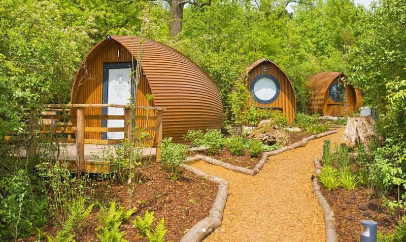 Glamping GmbH im Saarland - Reiseblog Bravebird