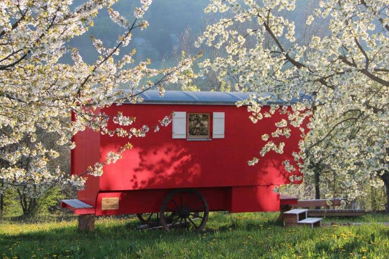 Schäferwagen Rhön - Reiseblog Bravebird