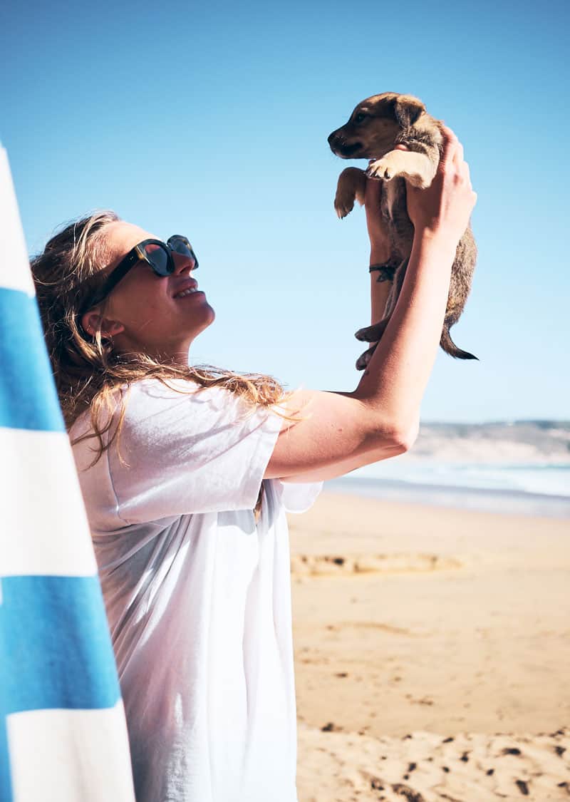 Tafedna Marokko - Strandhunde - Reiseblog Bravebird