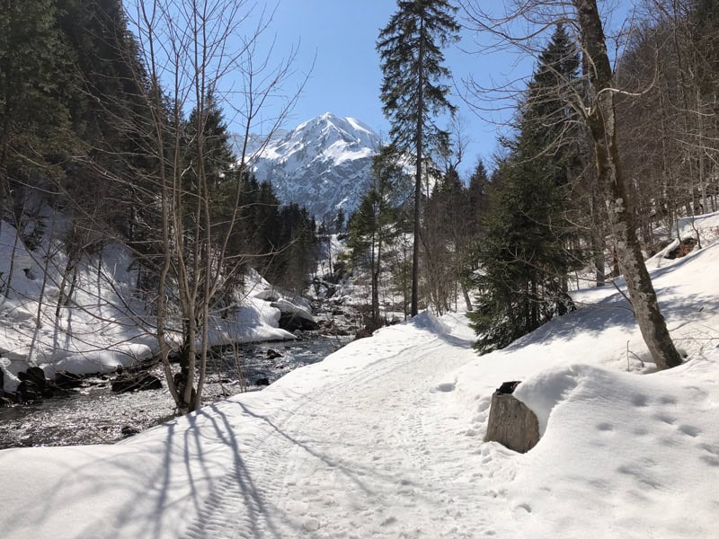 Wanderweg nach Hirschegg - Reiseblog Bravebird