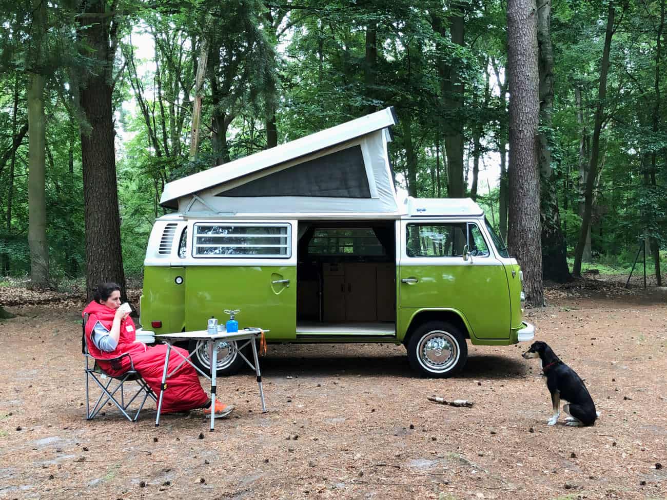 Packliste für einen Mietcamper - Reiseblog Bravebird
