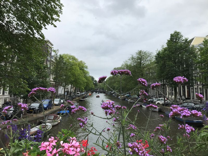 Urban Gardening - Buntes Amsterdam - Reiseblog Bravebird