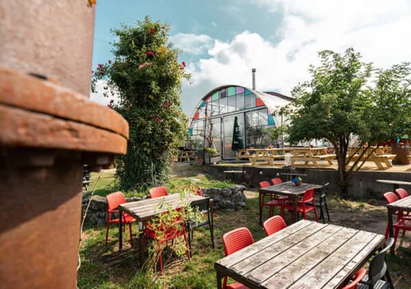 Insider-Tipps für Amsterdam Niederlande - Reisemagazin Bravebird