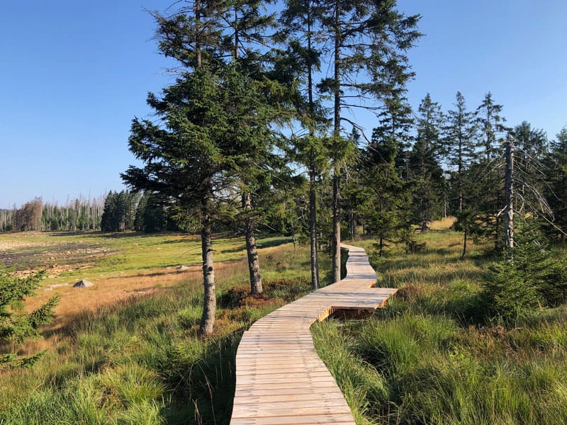 Harz Wanderung um den Oderteich herum - Reiseblog Bravebird