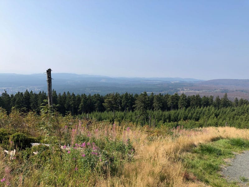 Wurmberg Bergstation - Reiseblog Bravebird