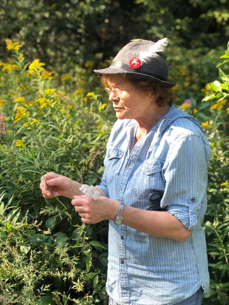 Kräuterkurs Schnibbe im Harz - Reiseblog Bravebird