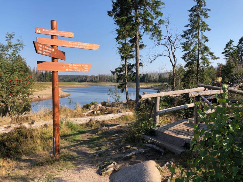 Harz Wanderung um den Oderteich herum - Reiseblog Bravebird