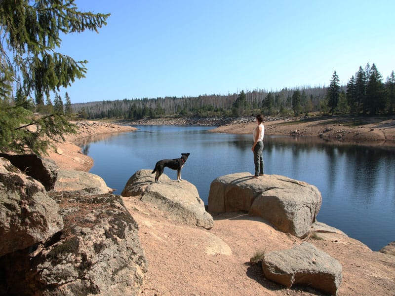 Harz Wanderung um den Oderteich herum - Reiseblog Bravebird