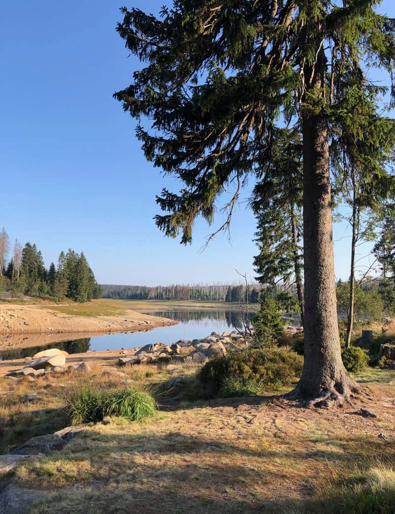 Harz Wanderung um den Oderteich herum - Reiseblog Bravebird