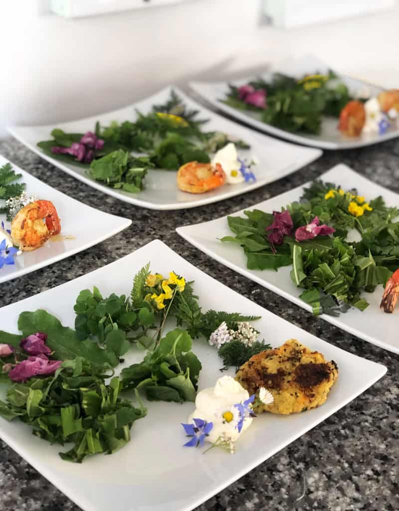 Kräuterkurs Schnibbe im Harz - Reiseblog Bravebird