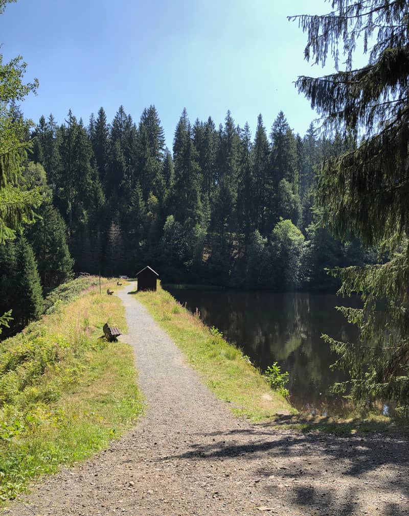 Hüttenteich bei Altenau im Harz - Reiseblog Bravebird