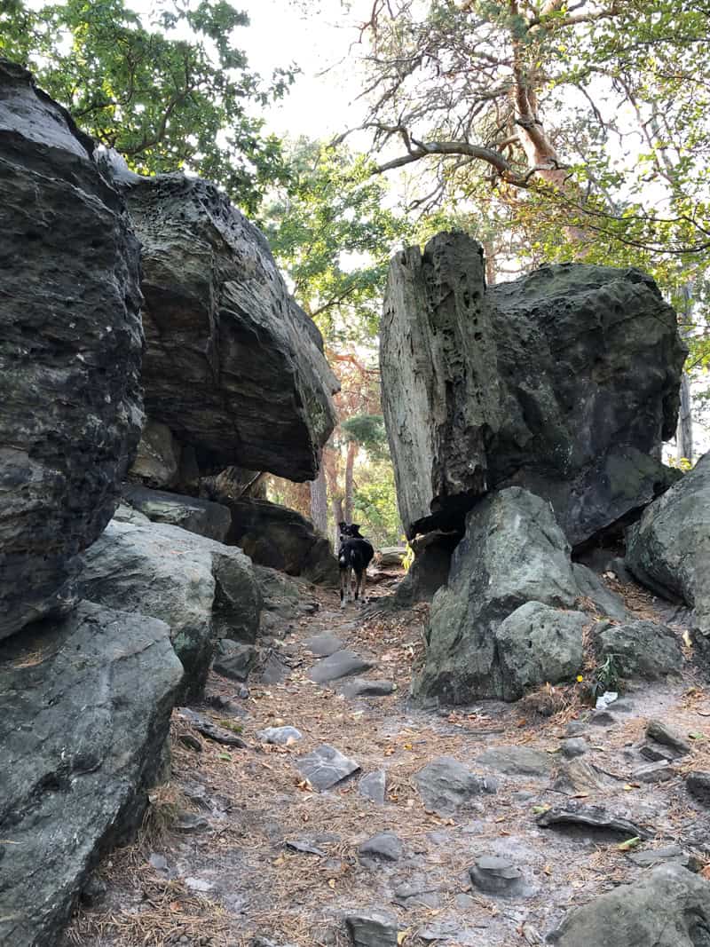 Grossvater Felsen in Blankenburg an der Teufelsmauer - Reiseblog Bravebird