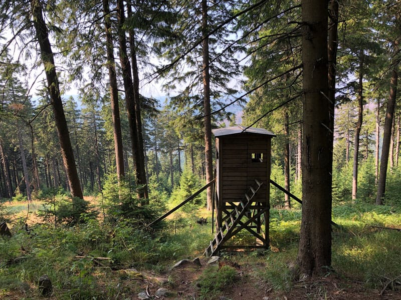 Wurmberg Bergstation - Reiseblog Bravebird