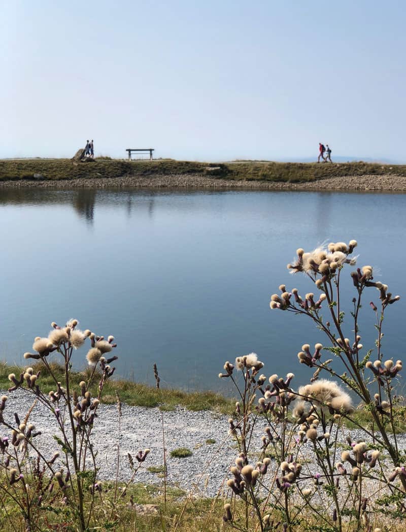 Wurmberg Bergstation - Reiseblog Bravebird