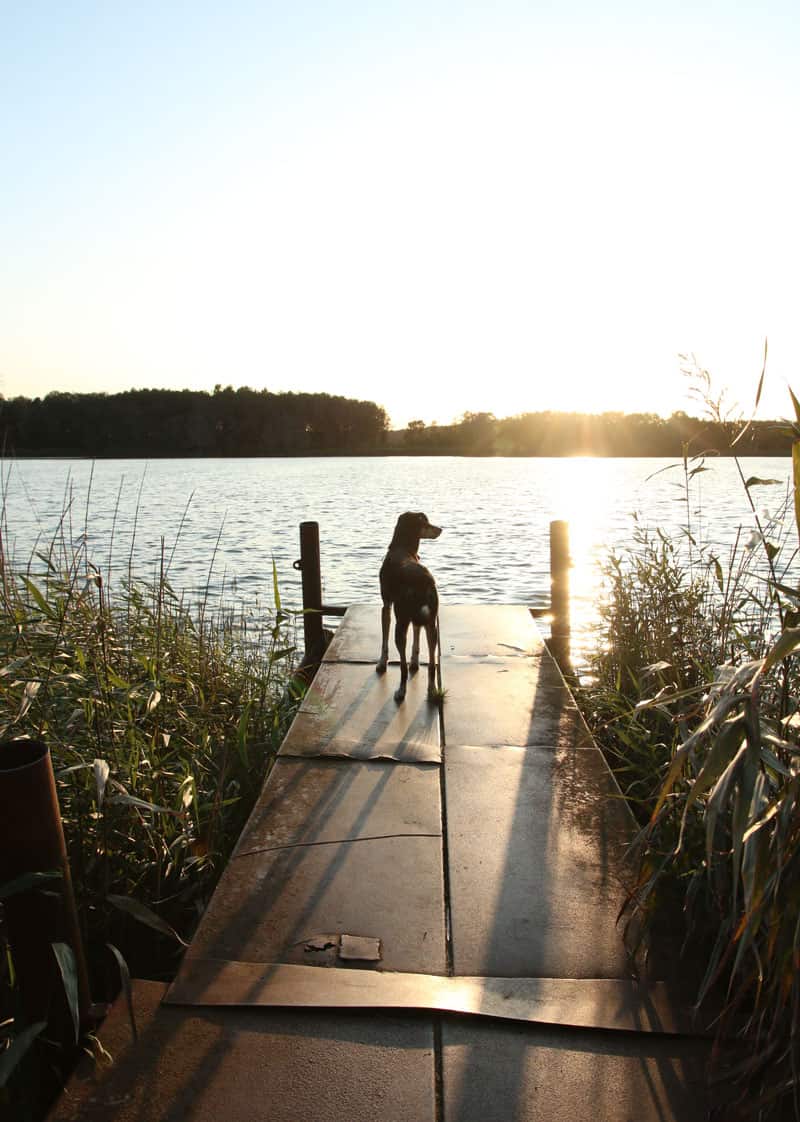 Kölpinsee Usedom bei Stubbenfelde - Reiseblog Bravebird