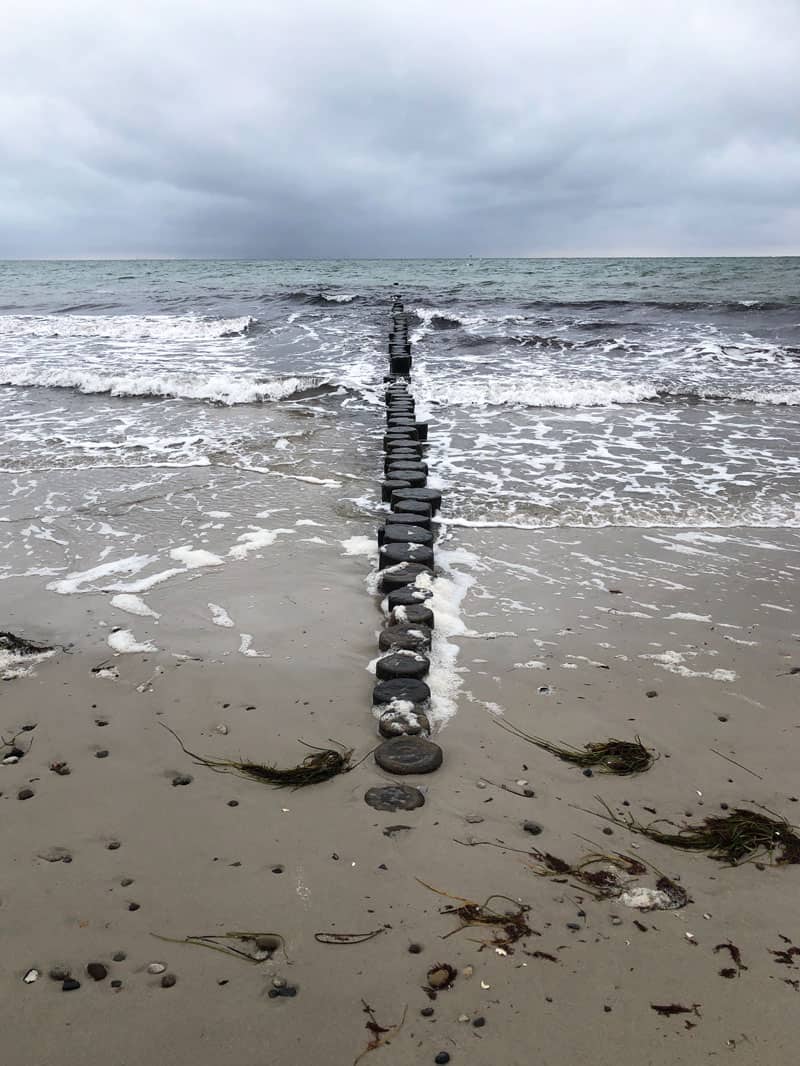 Entdeckerpfad Rostocker Heide - Reiseblog Bravebird