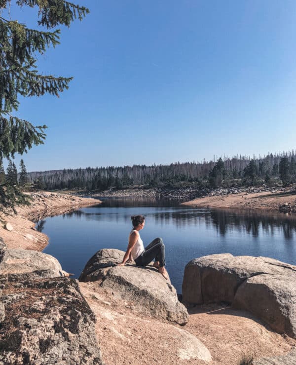 Wanderung am Oderteich im Harz - Reiseblog Bravebird