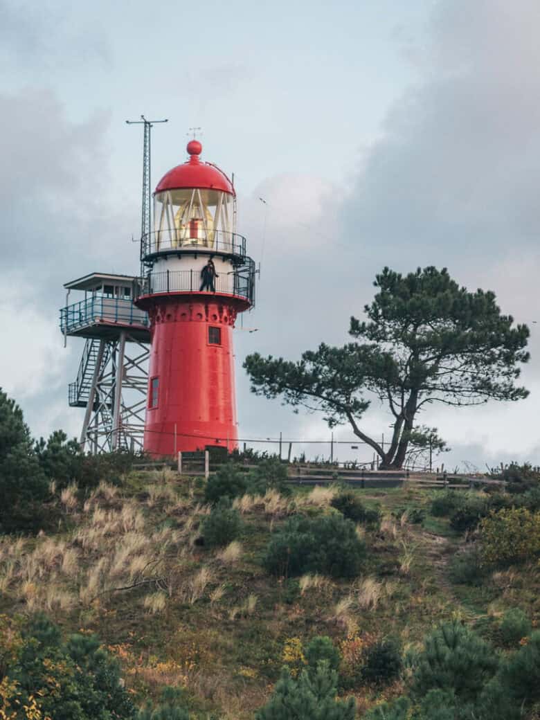 Vlieland - Die Nordseeinsel für Naturliebhaber