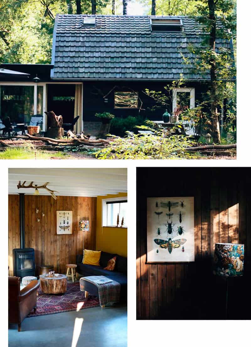 Gemütliches Ferienhaus im Wald - Reiseblog Bravebird
