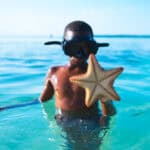 Seesterne sterben an der Luft - Reiseblog Bravebird