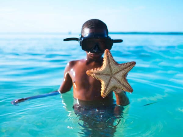 Seesterne sterben an der Luft - Reiseblog Bravebird