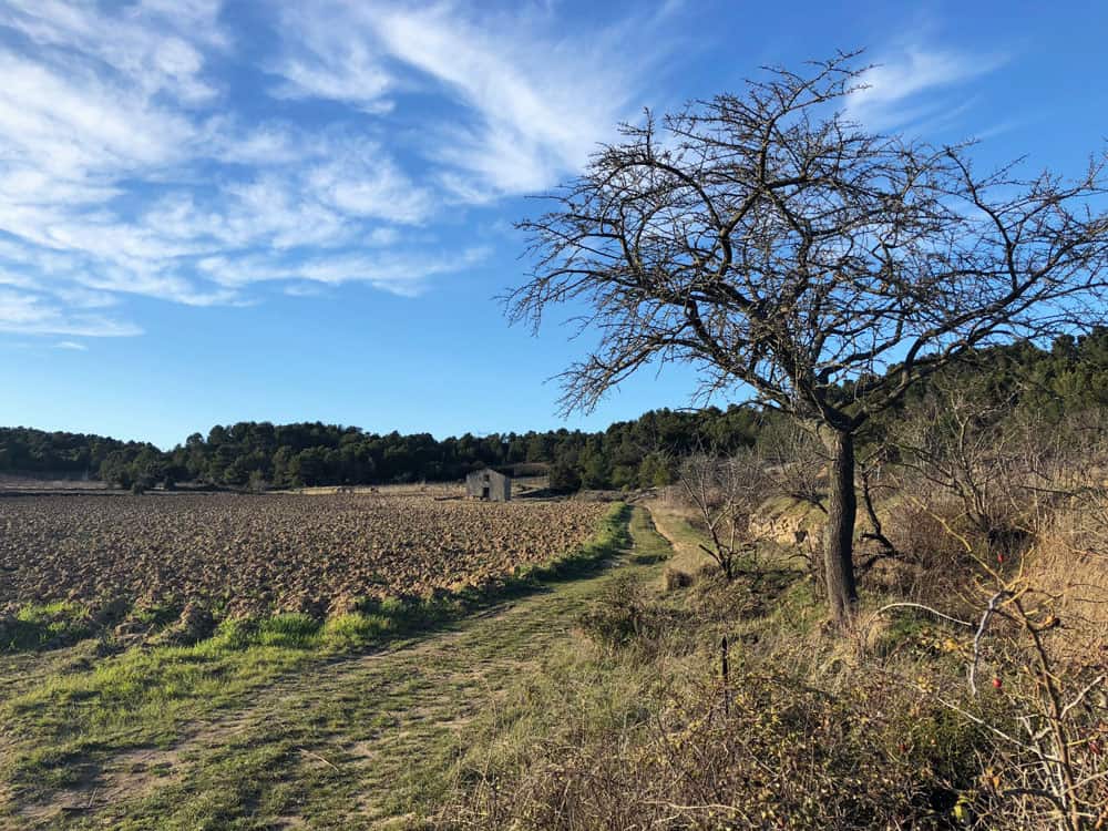 Domaine de Palatz Ferienwohnung in Südfrankreich Languedoc - Reiseblog Bravebird