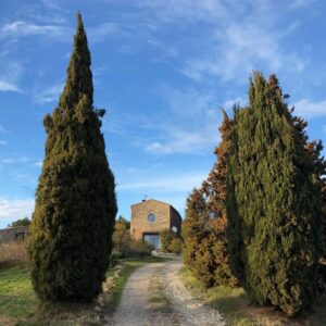 Domaine de Palatz Ferienwohnung in Südfrankreich Languedoc - Reiseblog Bravebird