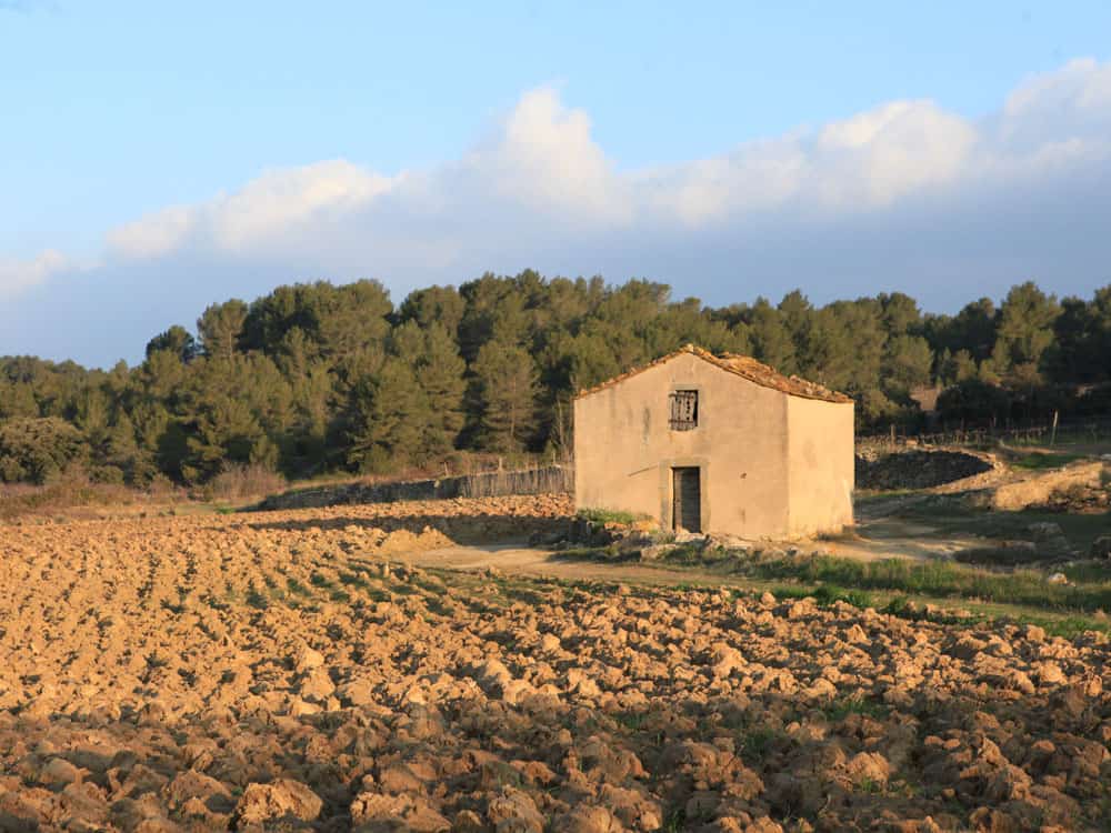 Domaine de Palatz Ferienwohnung in Südfrankreich Languedoc - Reiseblog Bravebird