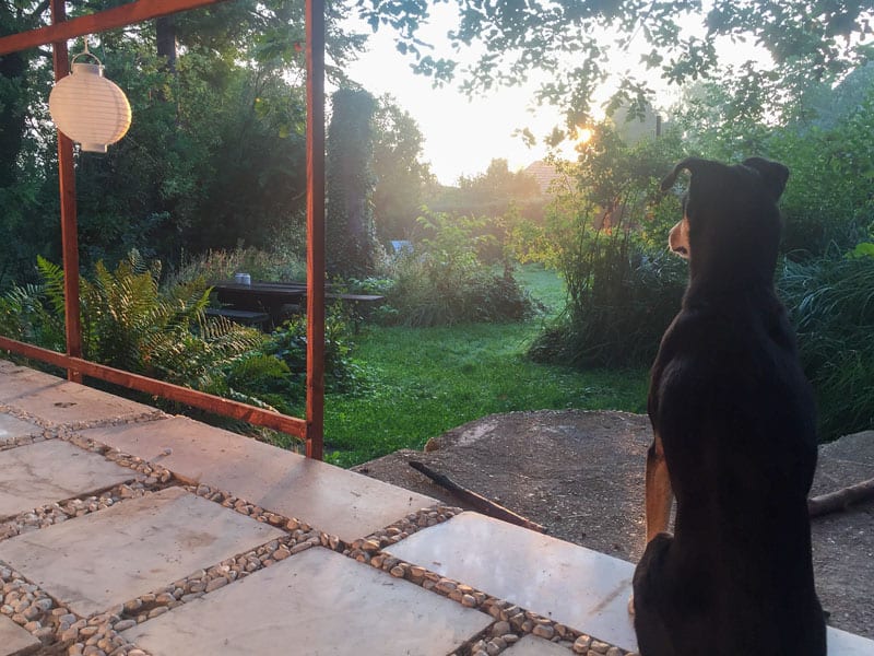 Tolles Ferienhaus in der Eifel mit Traumgarten - Reiseblog Bravebird