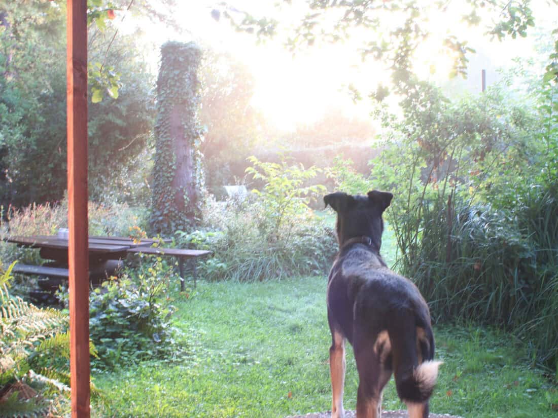 Tolles Ferienhaus in der Eifel mit Traumgarten - Reiseblog Bravebird