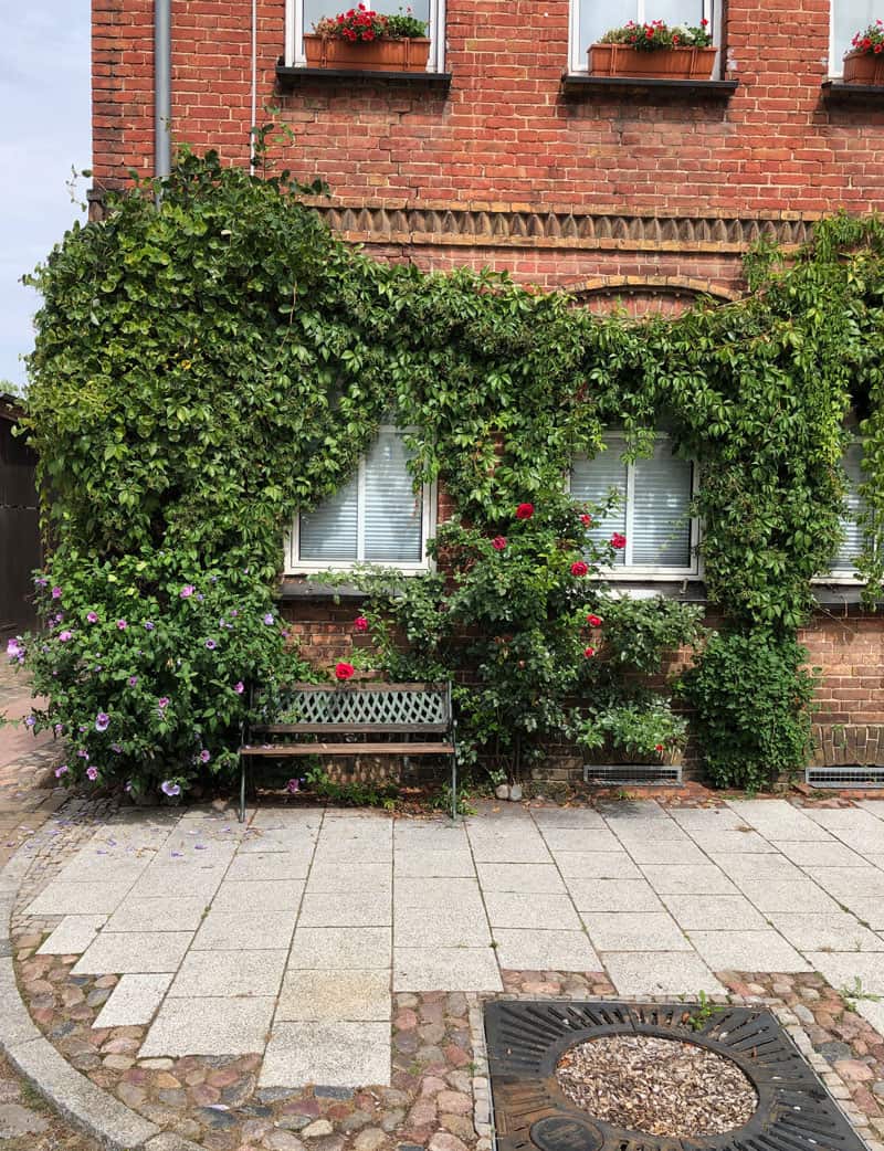 Wesenberg Besuch - Reiseblog Bravebird