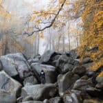 Felsenmeer Odenwald Reisebericht - Ve Wolff - Reiseblog Bravebird