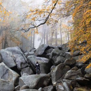 Felsenmeer Odenwald Reisebericht - Ve Wolff - Reiseblog Bravebird