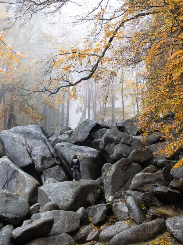 Felsenmeer Odenwald Reisebericht - Ve Wolff - Reiseblog Bravebird