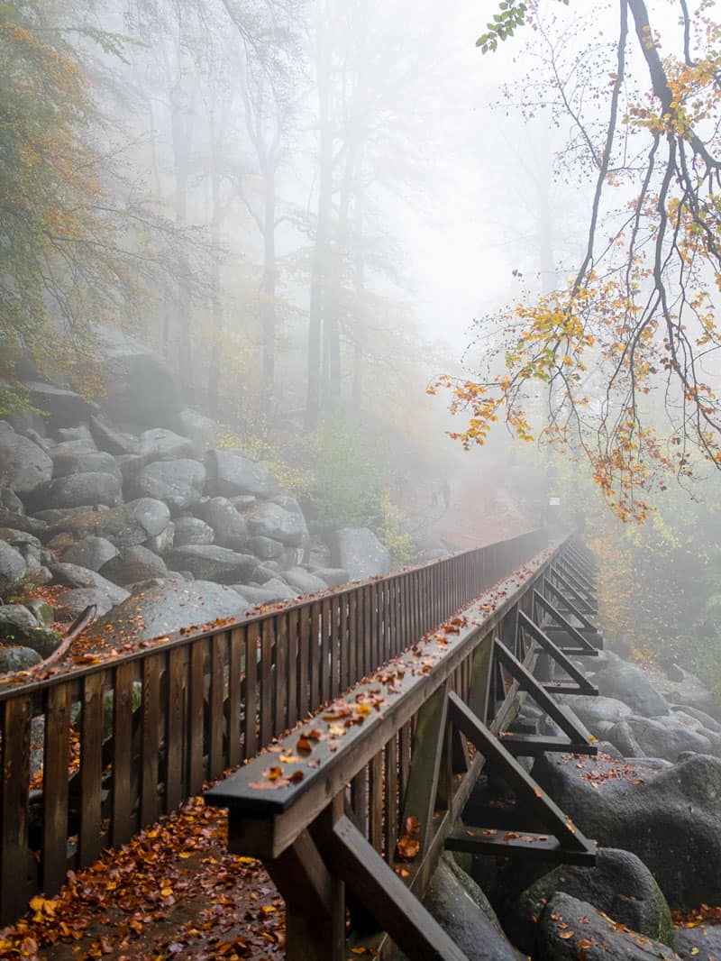 Felsenmeer Odenwald Reisebericht - Ve Wolff - Reiseblog Bravebird