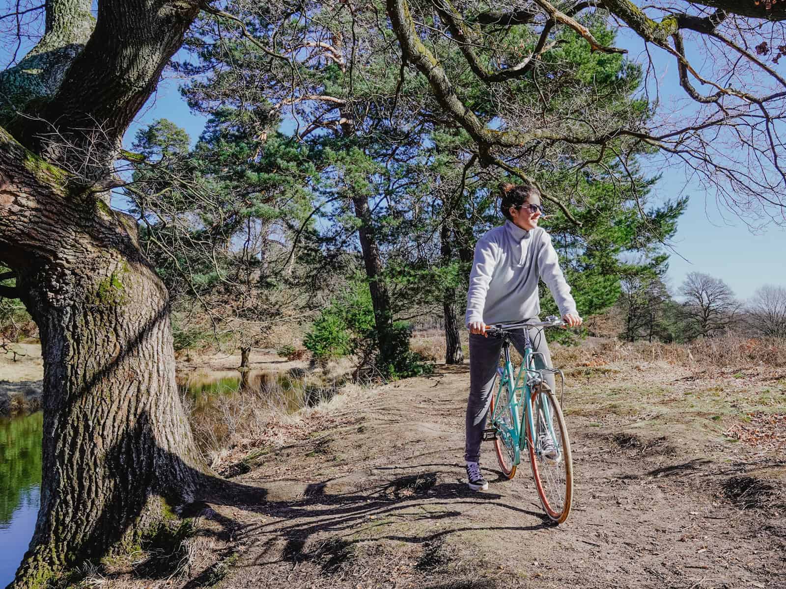 E-Bike - Ja oder nein? - Reiseblog Bravebird