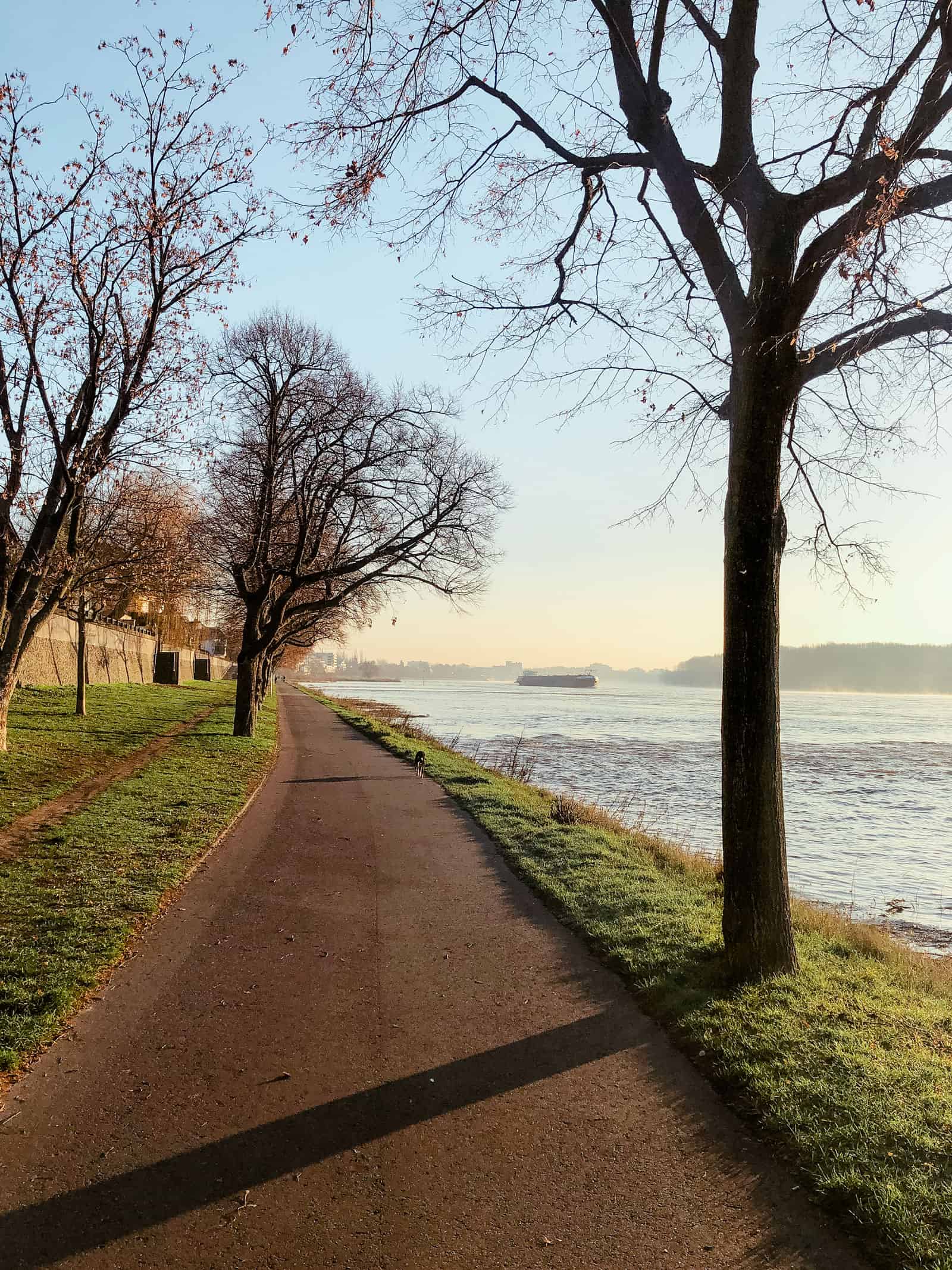 Rheinpromenade Knotenpunkt für Fußgänger und Radfahrer - Reiseblog Bravebird