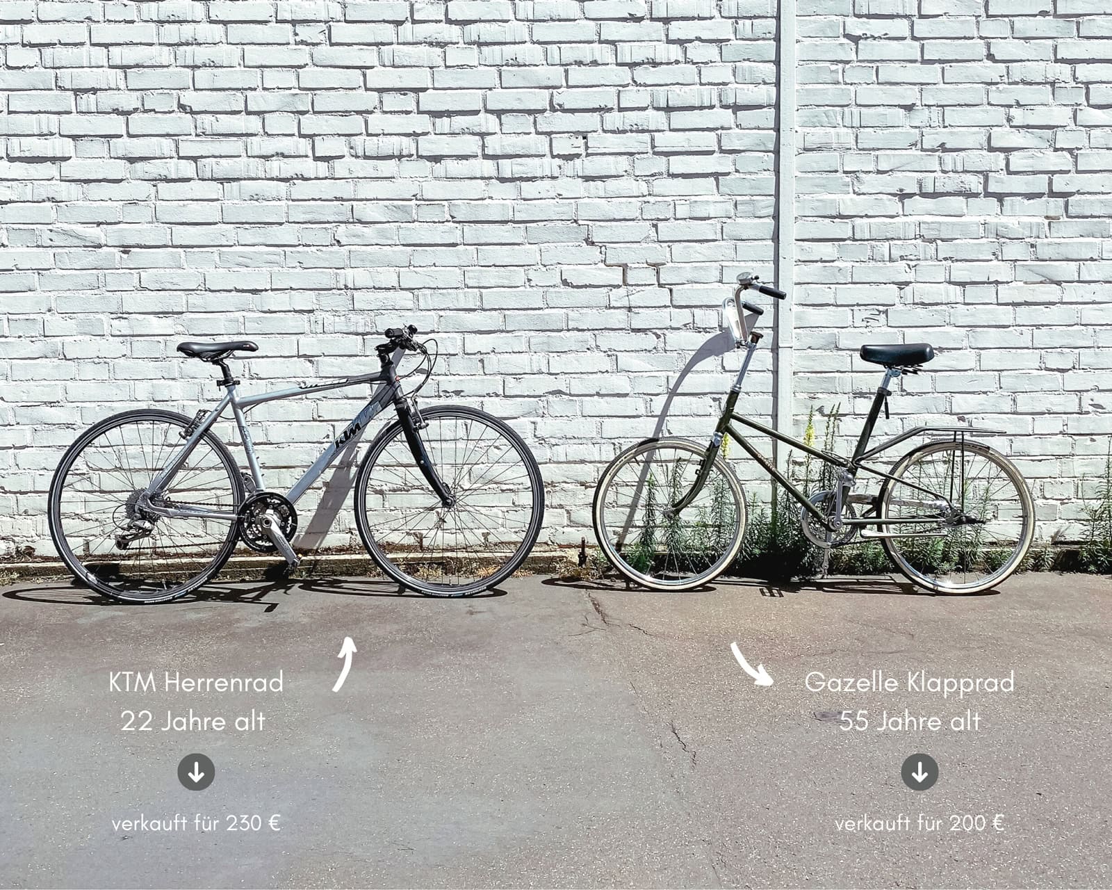 Altes Fahrrad gegen ein neues austauschen, aber welches? - Reiseblog Bravebird