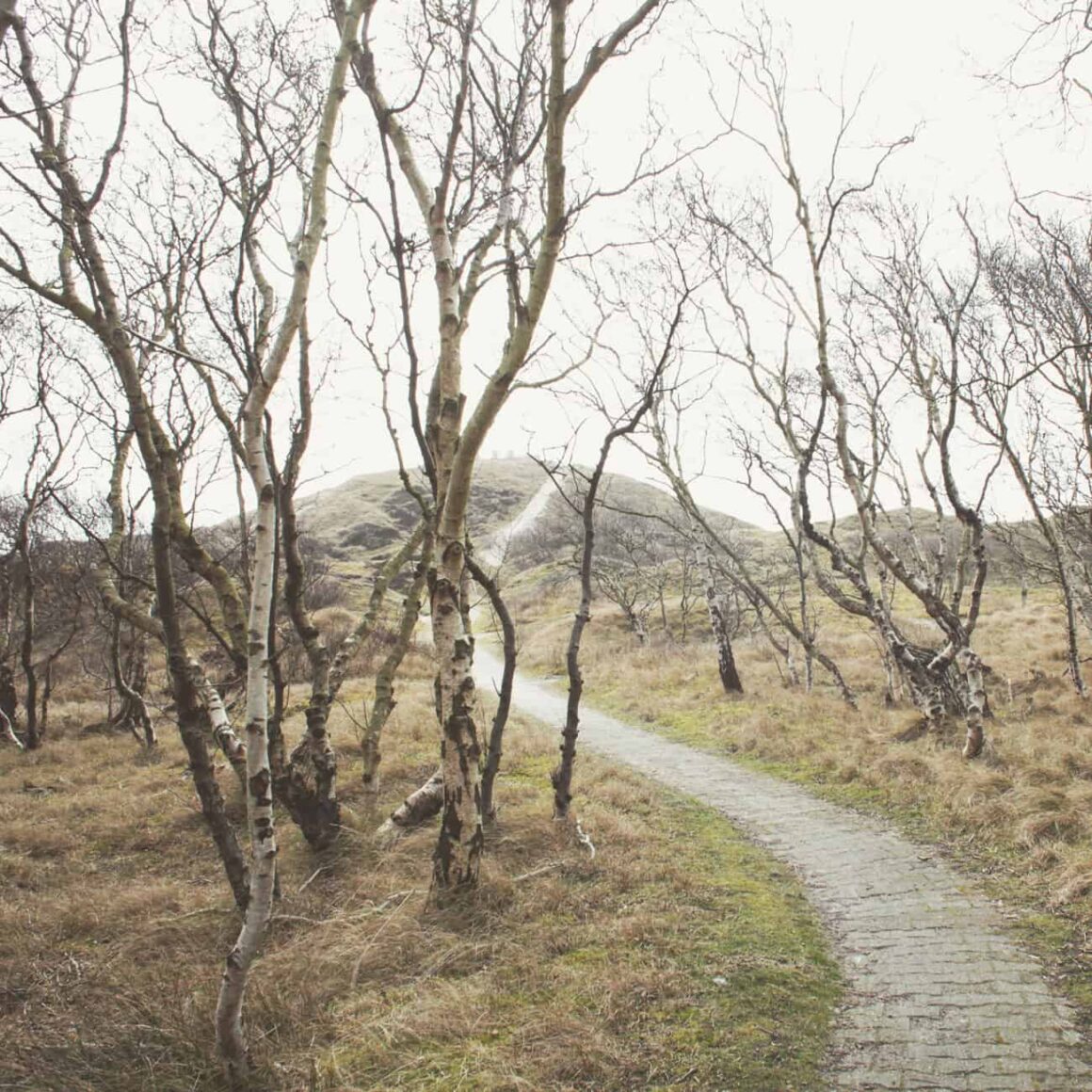 Wanderung in Norderney bei Regen - Reisemagazin Bravebird