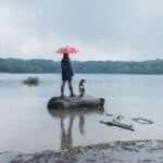 Regenliebe - Reisemagazin Bravebird