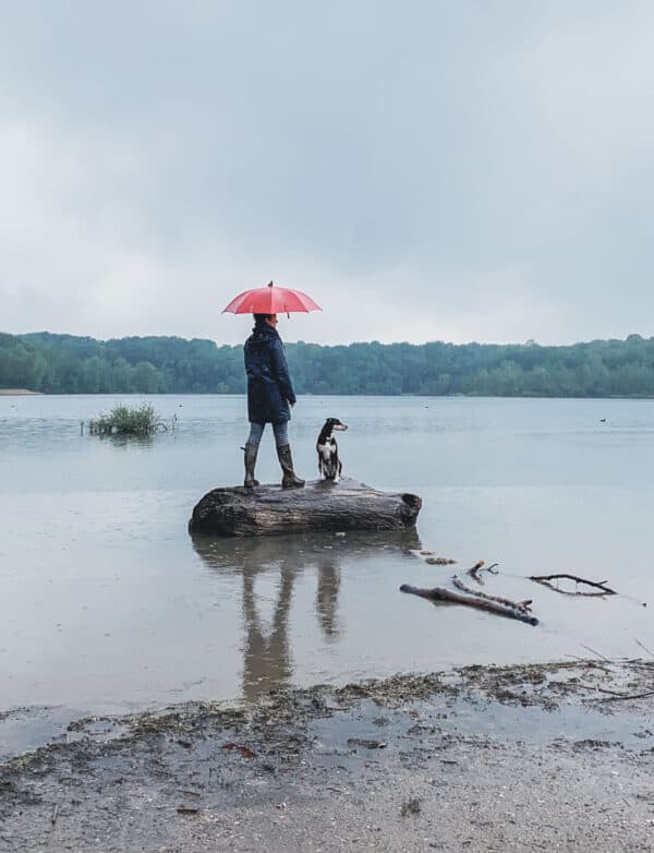 Regenliebe - Reisemagazin Bravebird