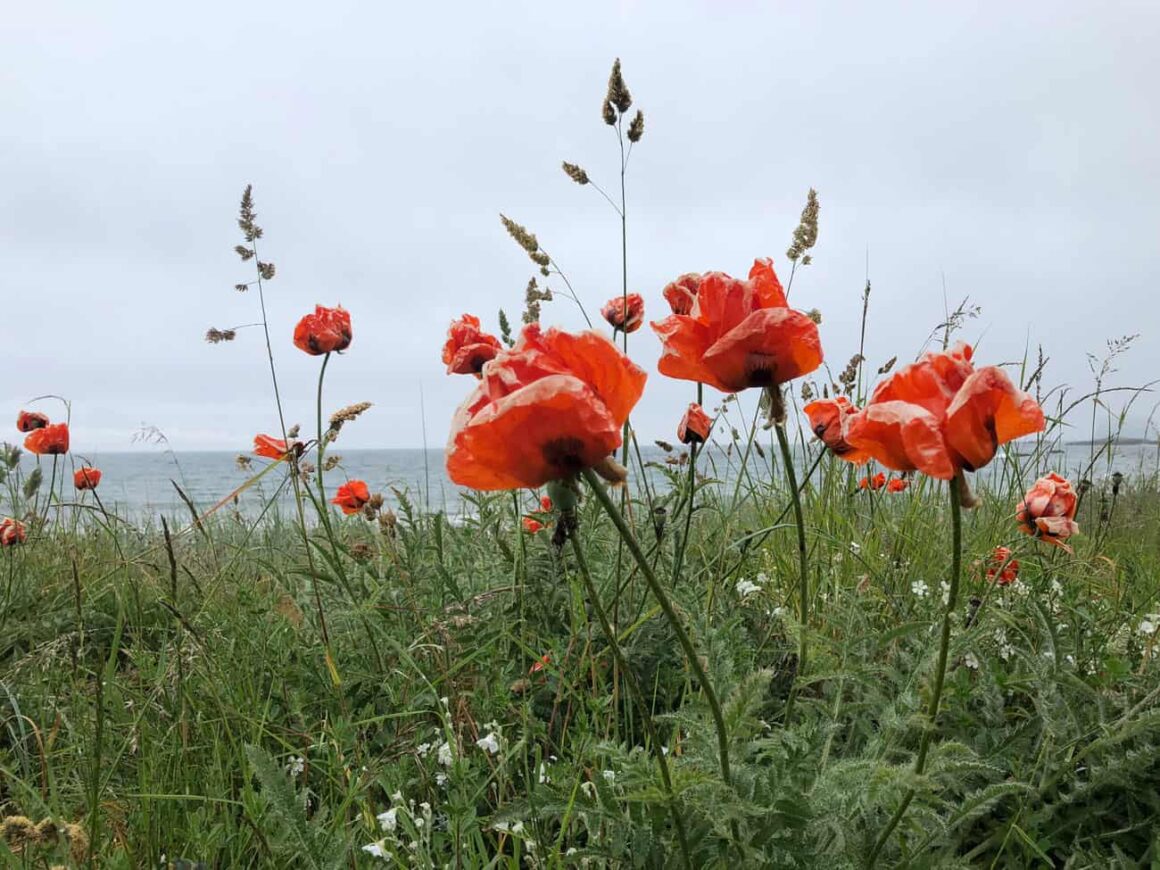 Schlechtes Wetter anders fotografieren - Reiseblog Bravebird