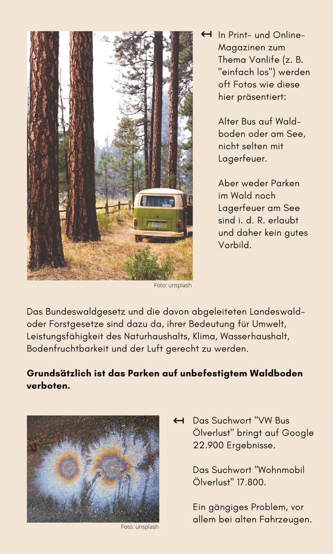 Warum Vanlife nicht nachhaltig ist - Reiseblog Bravebird