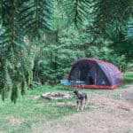 Besser zelten - Reisemagazin Bravebird