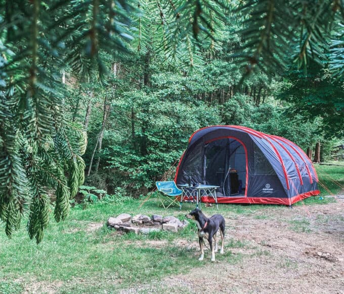 Besser zelten - Reisemagazin Bravebird