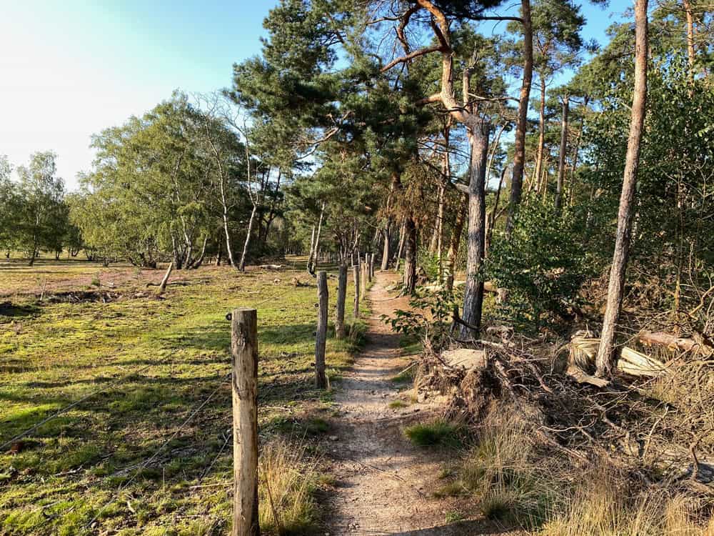 Naturschutzgebiet Lünsberg und Hombornquelle - Reisemagazin Bravebird