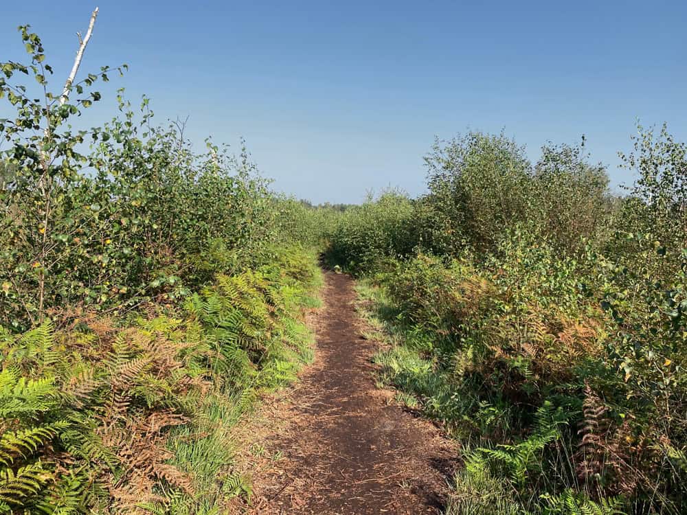 Wooldse Veen Hochmoor - Reisemagazin Bravebird