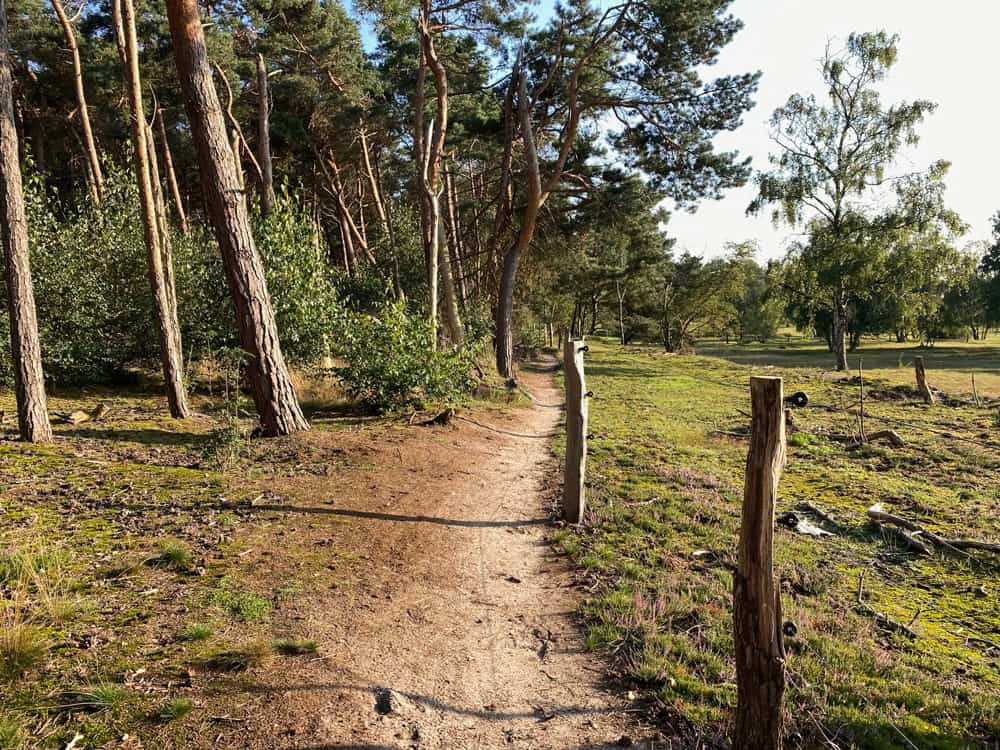 Naturschutzgebiet Lünsberg und Hombornquelle - Reisemagazin Bravebird