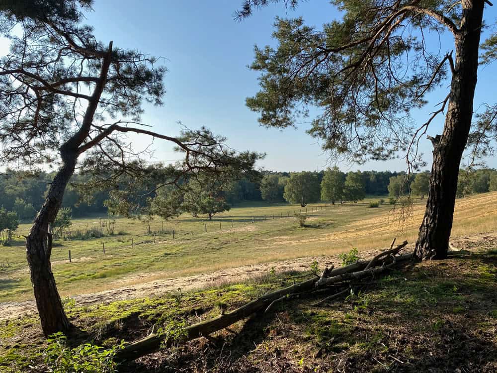 Naturschutzgebiet Lünsberg und Hombornquelle - Reisemagazin Bravebird