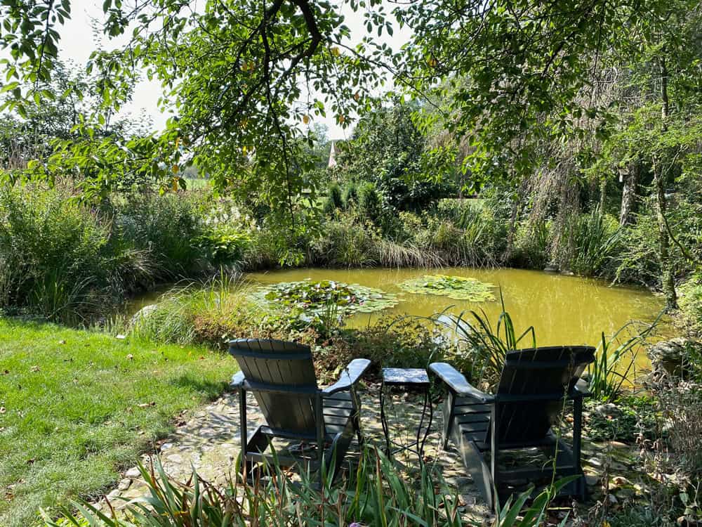 Theetuin de Wacht Café - Reisemagazin Bravebird